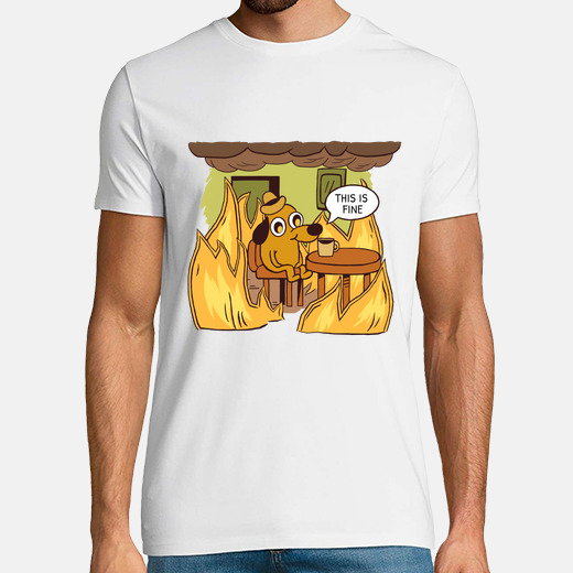 this is fine 