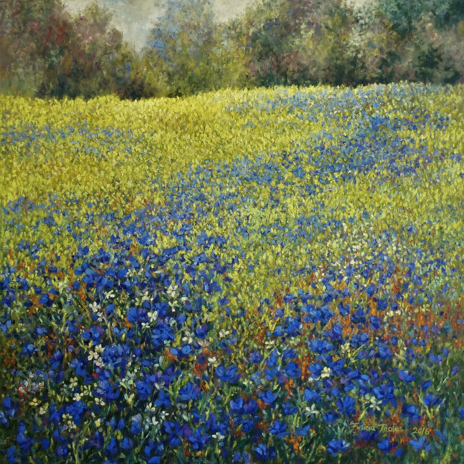 Wild Bule Hill, Felicia Trales