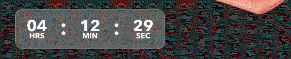 TIMER