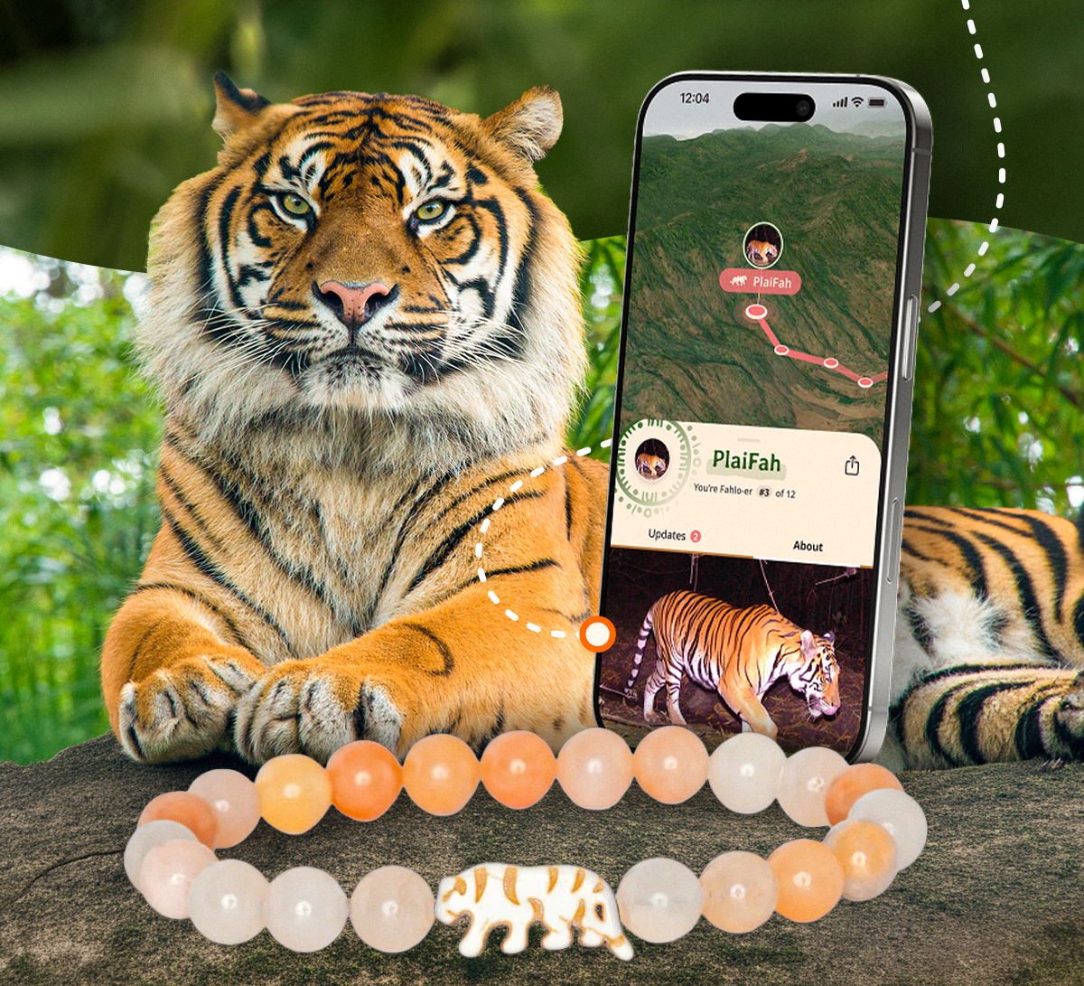 Tiger bracelets go back in the vault tonight and there is no telling when they will return. This is your last chance to track a tiger, so don't miss this opportunity before the clock strikes midnight.