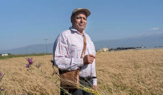 Idealistische Syriërs brengen biologisch boeren naar hun verwoeste land: ‘We planten hoop’