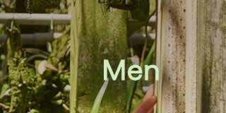 Men