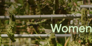 Women