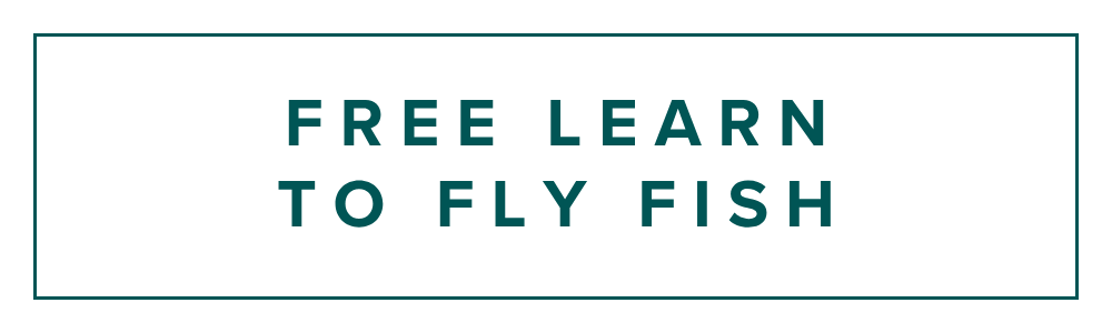 Teal box with teal 'free learn to fly fish' text inside