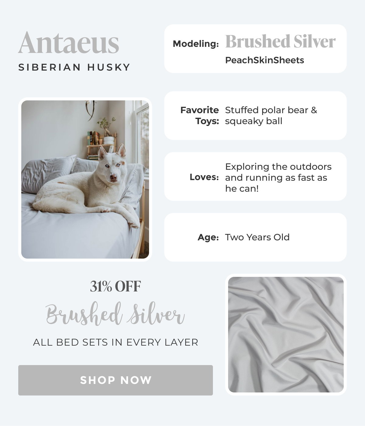 SHOP NOW 31% OFF Brushed Silver
