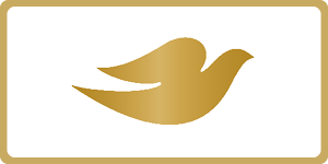 ½ price off RRP Dove hair care range  at Chemist Warehouse sale ends 5 August 2026