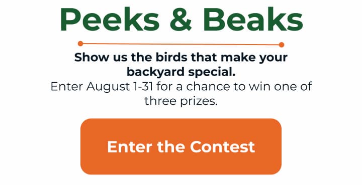 Enter the Contest