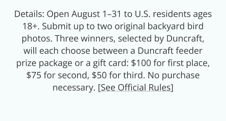 Contest Details