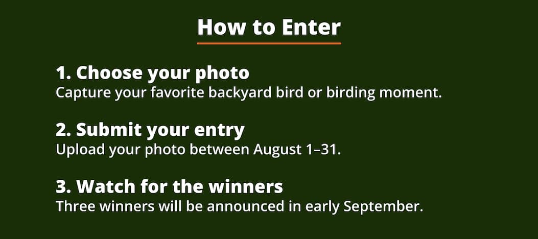 How to Enter