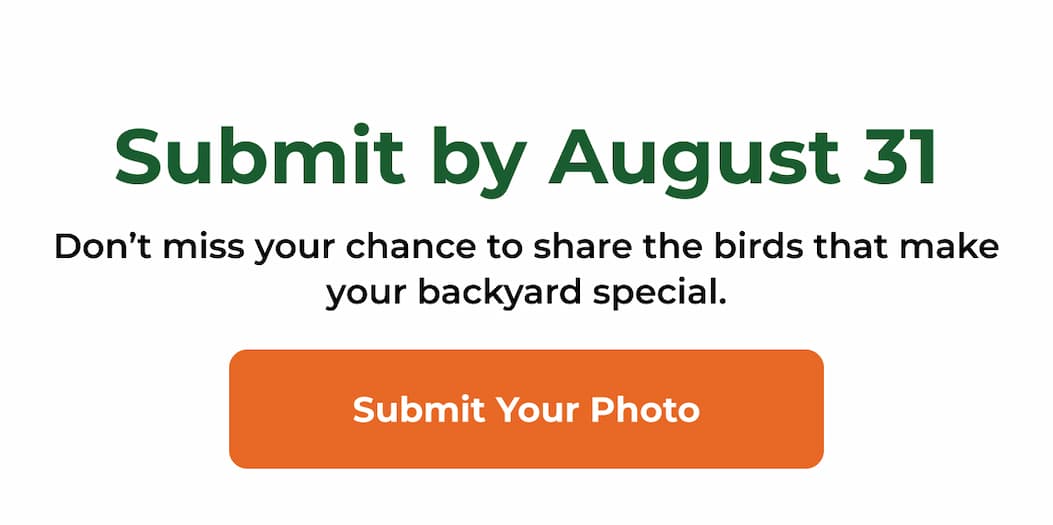 Submit your photo