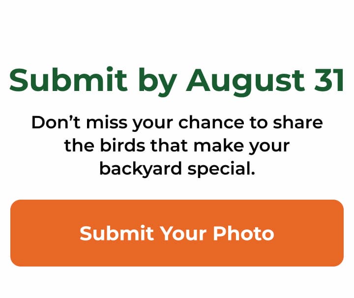 Submit your photo