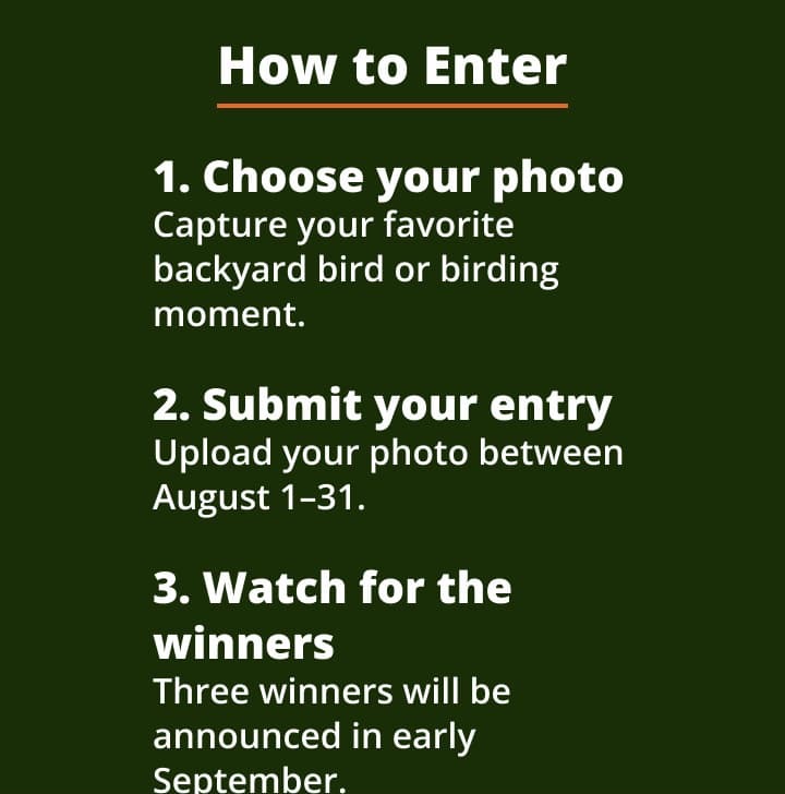 How to Enter