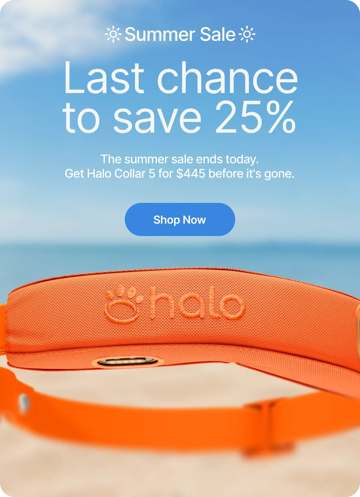 The Summer Sale is almost over. Halo Collar 5 is only $445 and this is your last chance to lock in our lowest price of the year. Don't let it slip away.