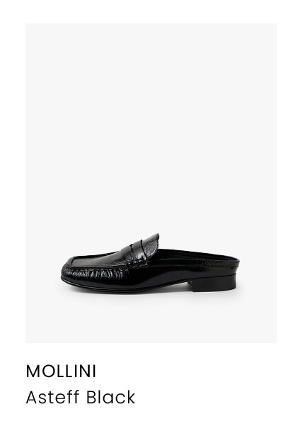 MOLLINI ASTEFF BLACK