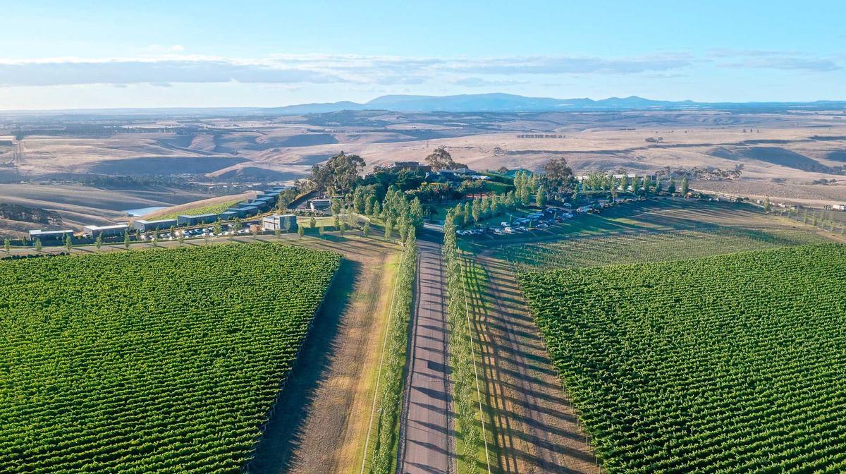 Central Victoria Vineyard Studio & Apartment Luxury with Wine Tasting, Dining Credit & Daily Breakfast