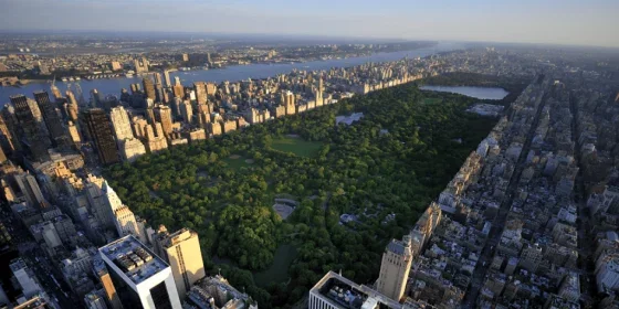 72 Hours in New York City