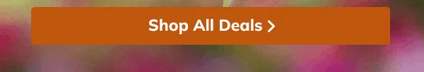 30% OFF APPAREL - SHOP NOW!