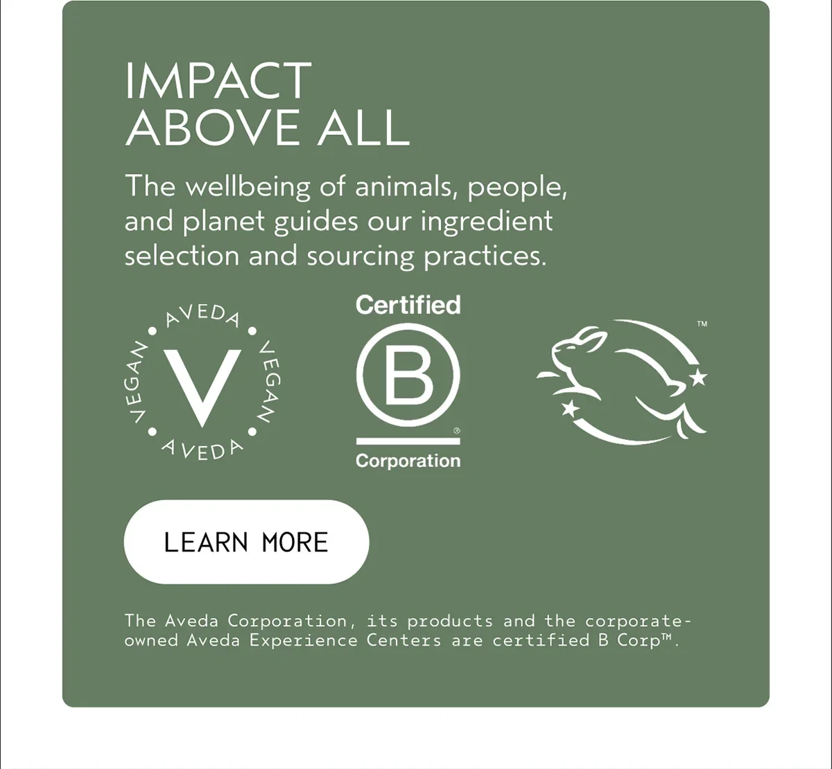 IMPACT ABOVE ALL | The wellbeing of animals, people, and planet guides our ingredient selection and sourcing practices. | LEARN MORE | The Aveda Corporation, its products and the corporate-owned Aveda Experience Centers are certified B Corp™.