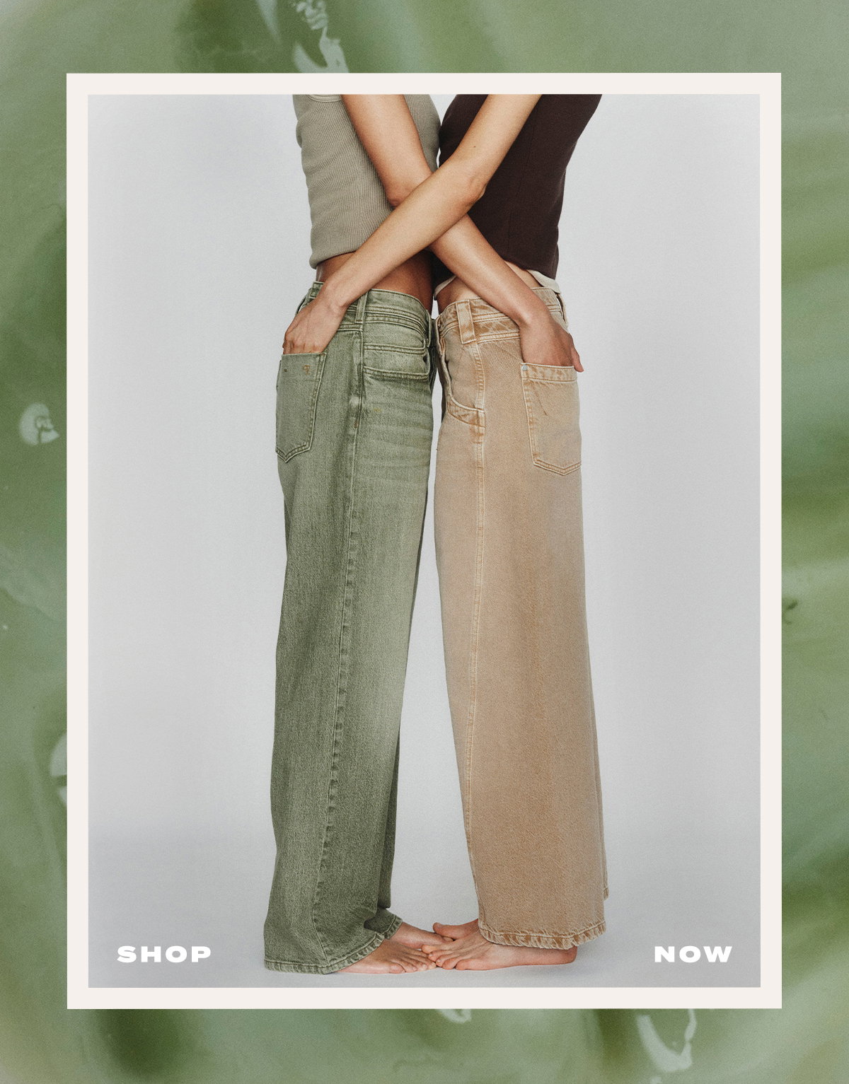 Shop Now