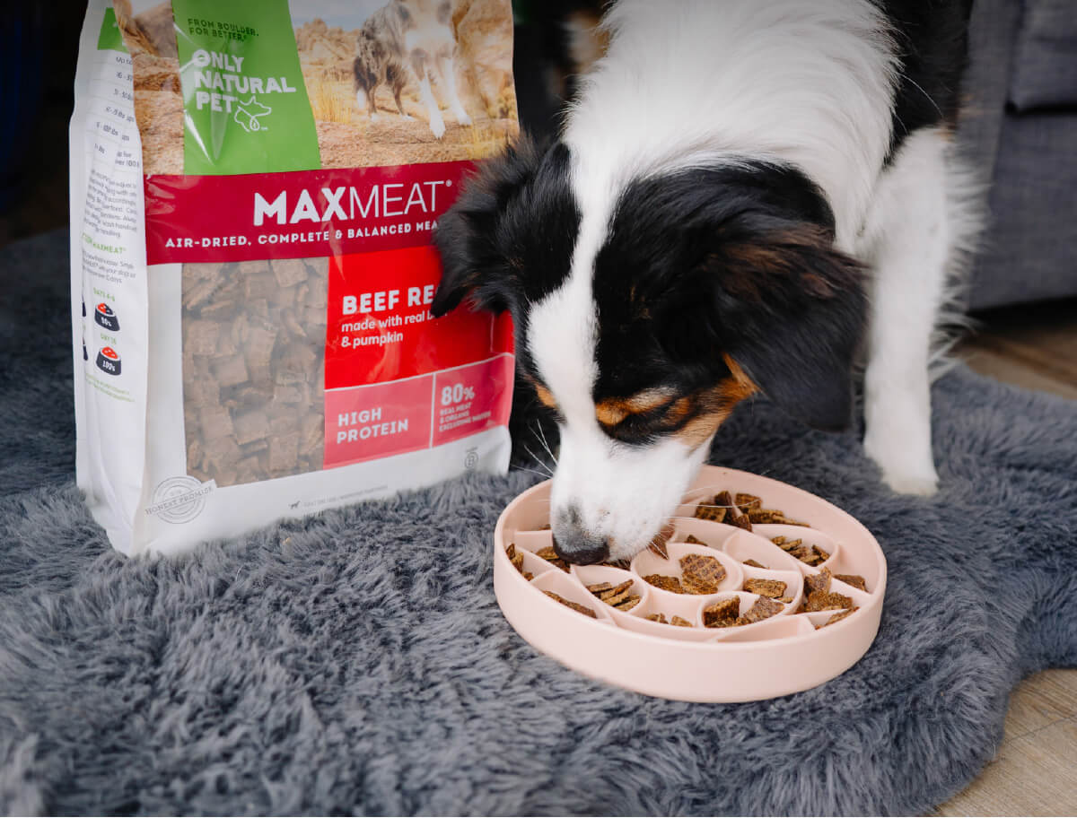 10% OFF All Pet Food!