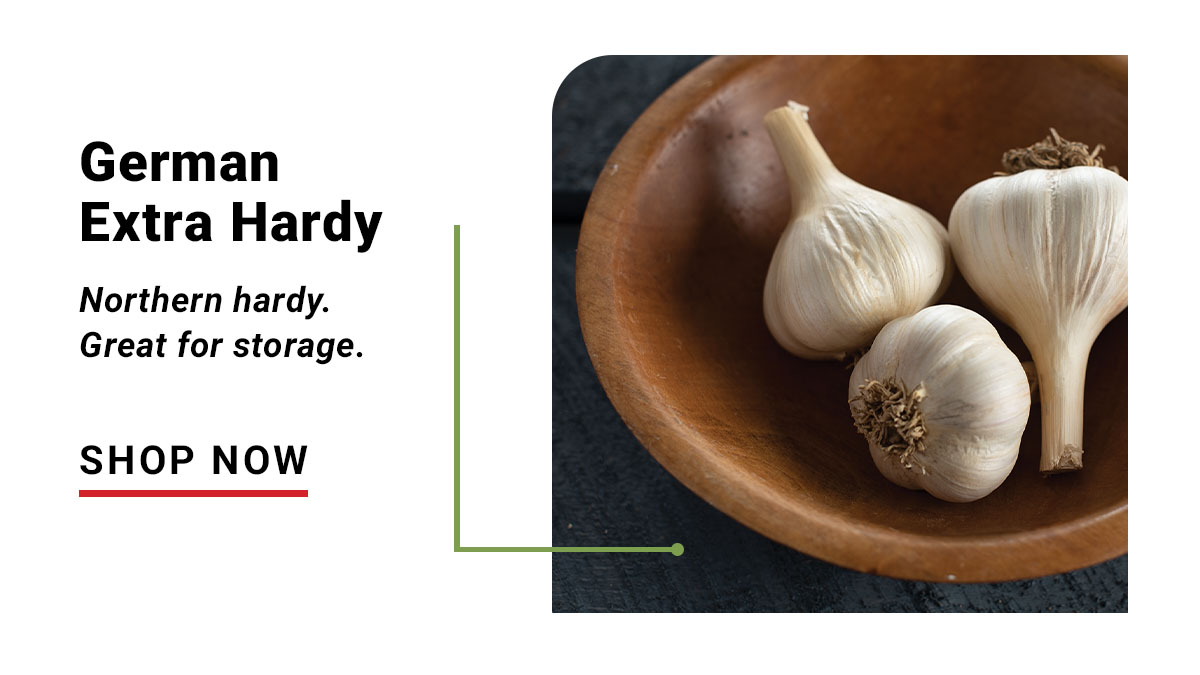 German Extra Hardy: Northern Hardy. Built for Storage. Shop Now