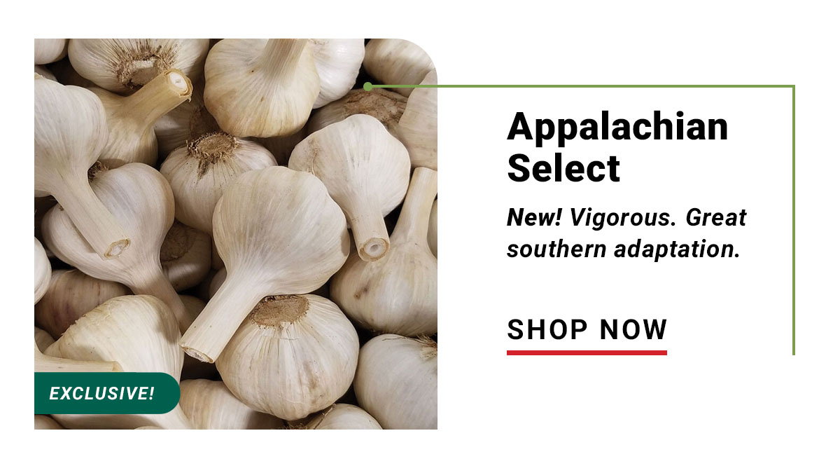 Appalachian Select - Shop Now
