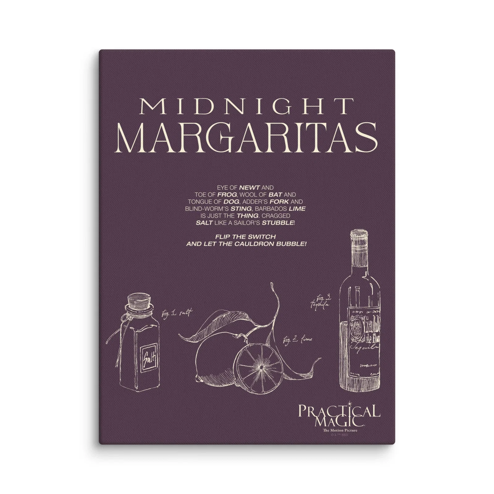 Image of Practical Magic Canvas Midnight Margaritas