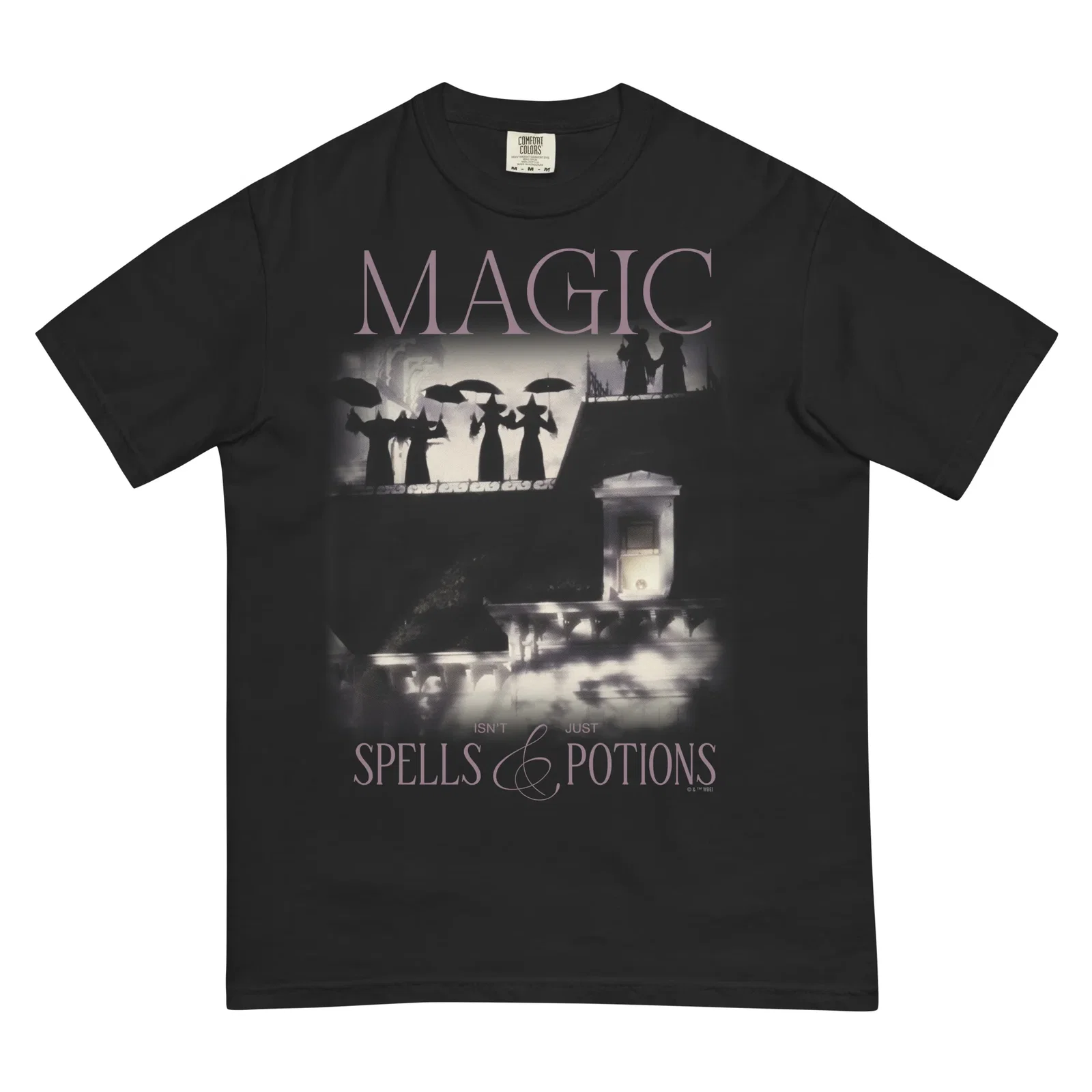 Image of Practical Magic Comfort Colors T-shirt Spells & Potions