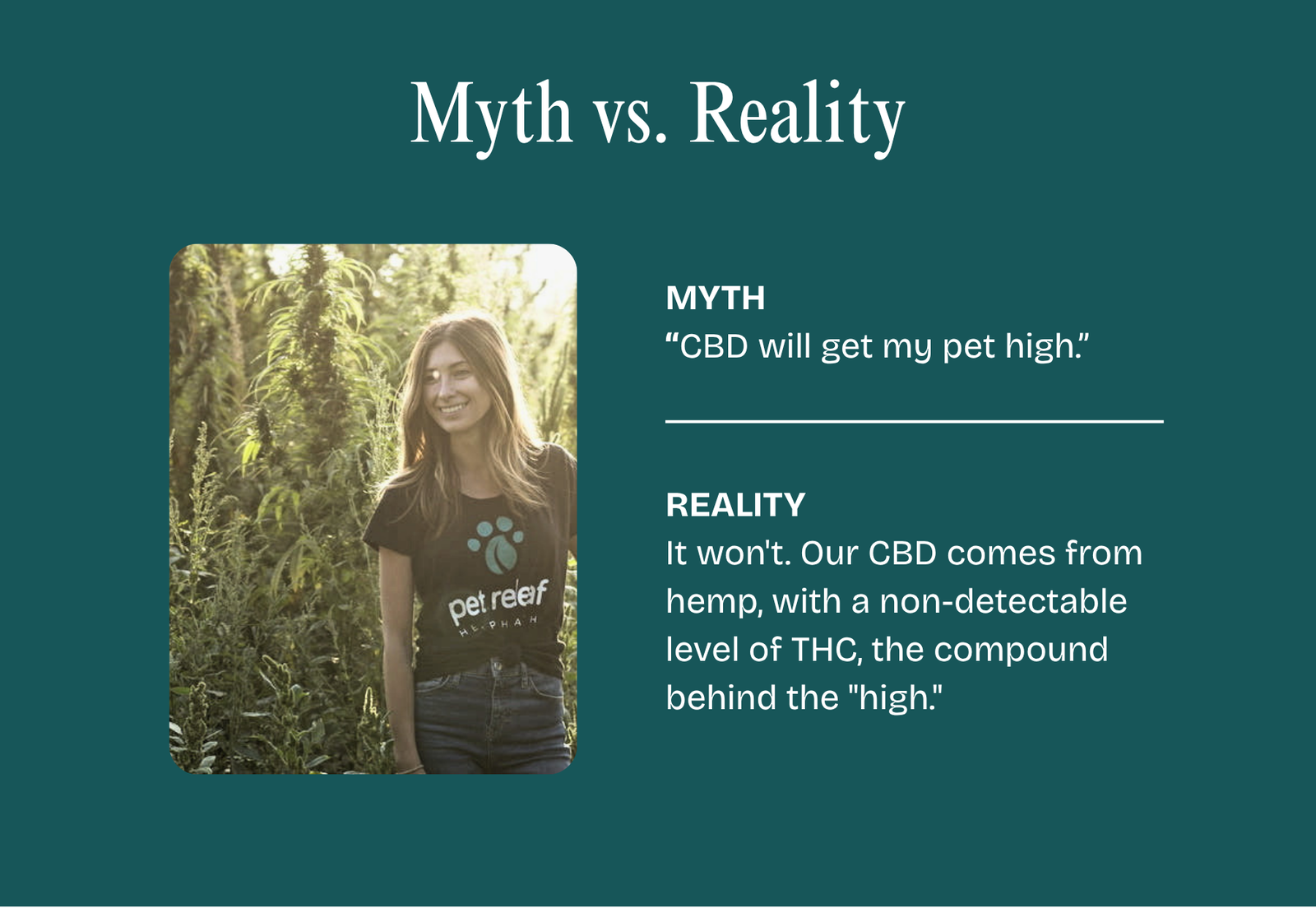 CBD Reality Check