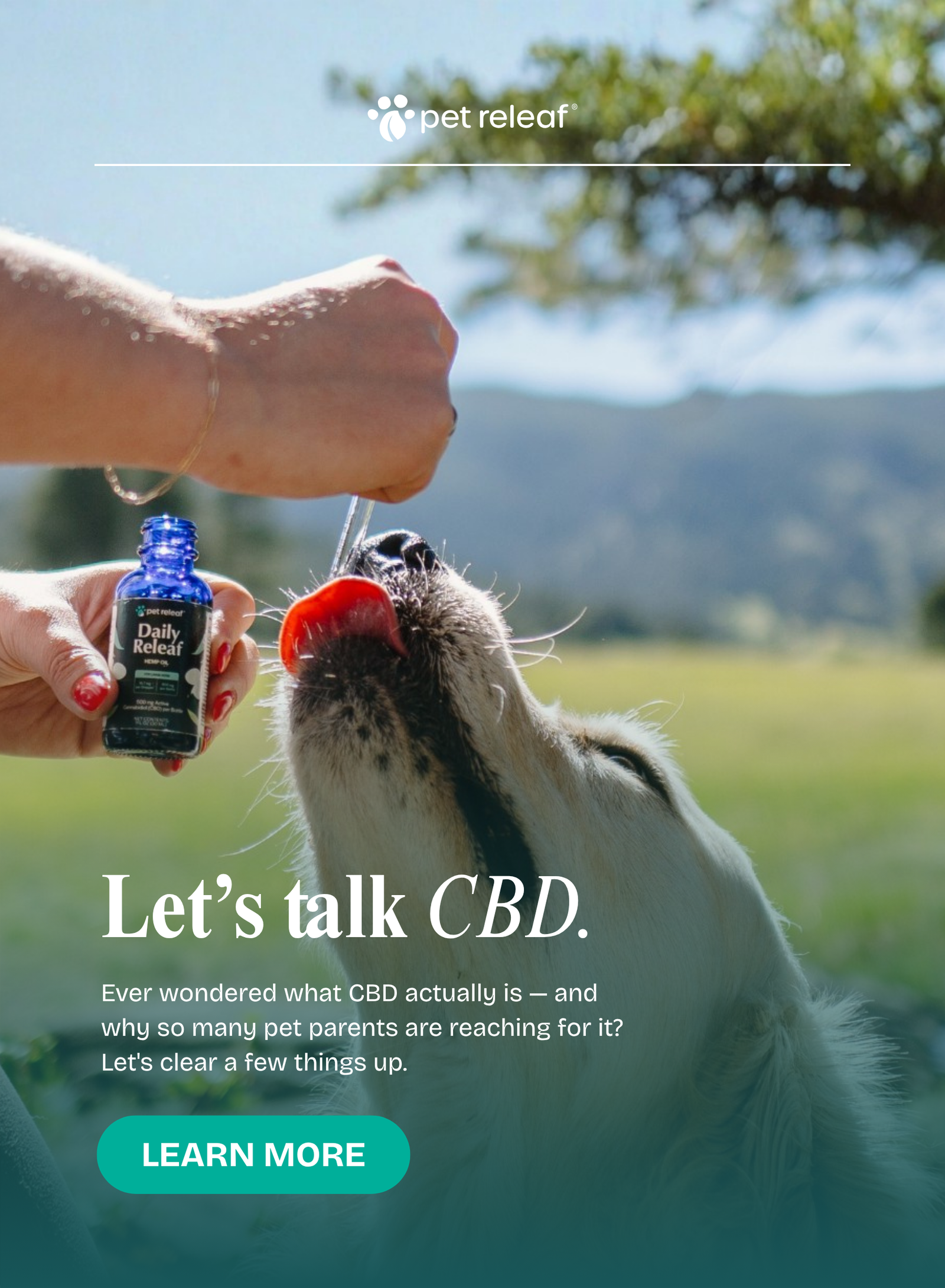 Let's Talk CBD.