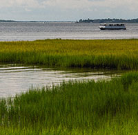 Landscape image of marsh.