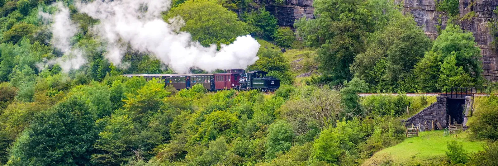 A steam train travels through lush greenery, emitting white smoke against a scenic backdrop.