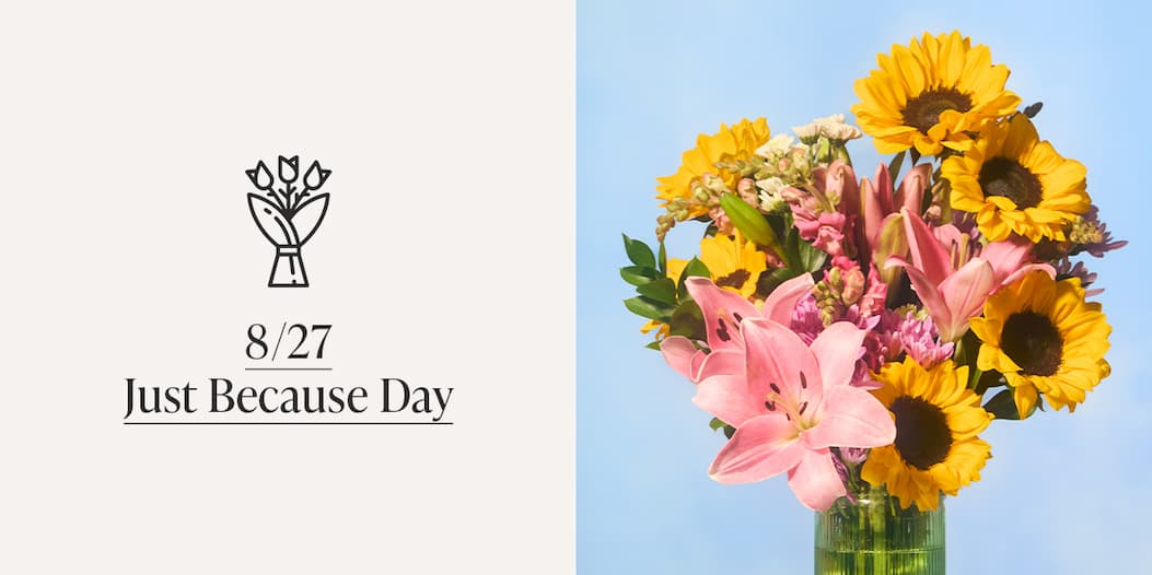 8/27 Just Because Day