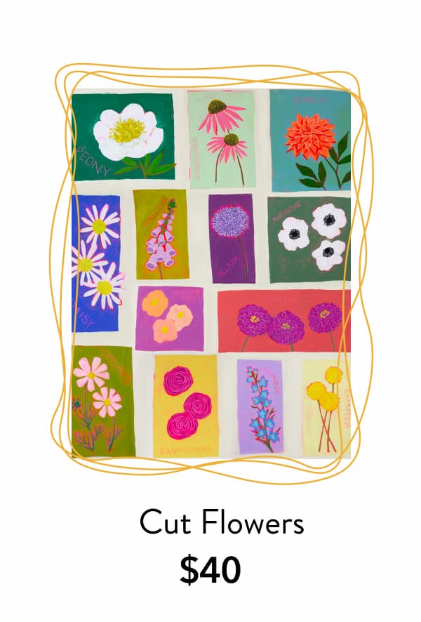 Cut Flowers