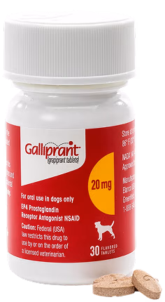Galliprant Tablets for Dogs
