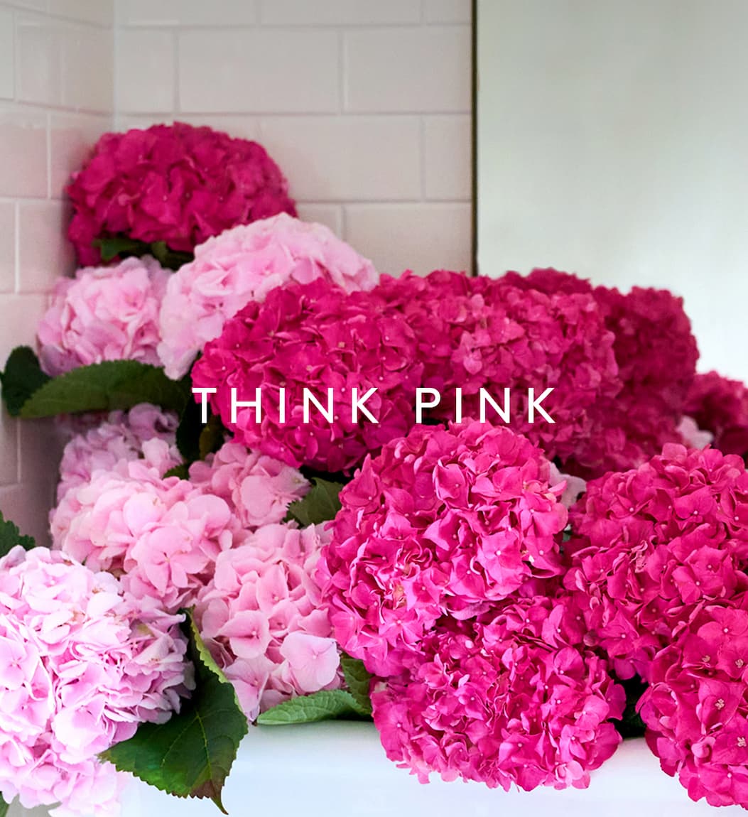 Hydrangeas