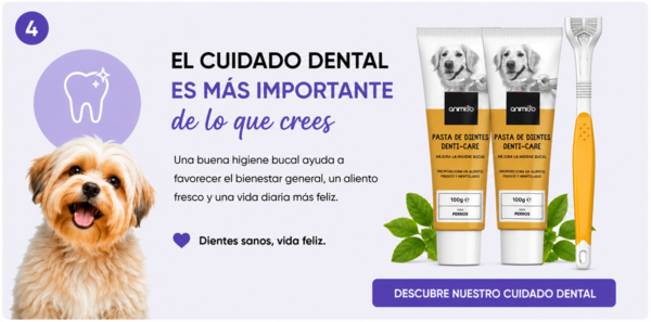Dental care