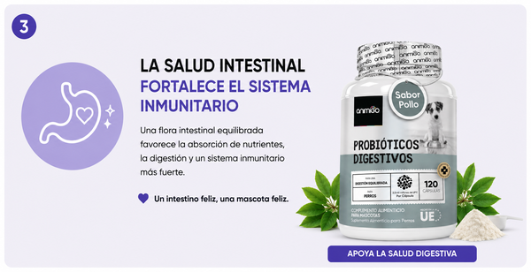 Digestion