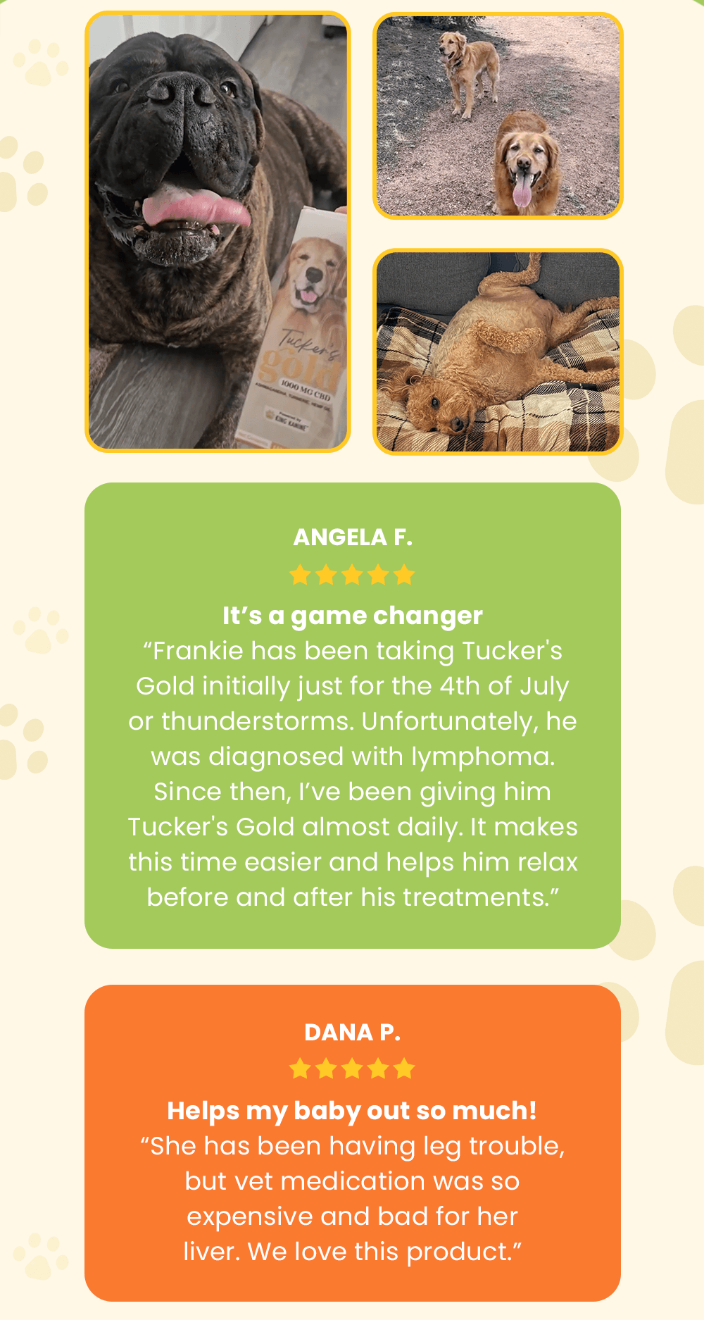 “It’s a game changer” Frankie has been taking Tucker's Gold initially just for the 4th of July or thunderstorms. Unfortunately, he was diagnosed with lymphoma. Since then, I’ve been giving him Tucker's Gold almost daily. It makes this time easier and helps him relax before and after his treatments.” — Angela F.
