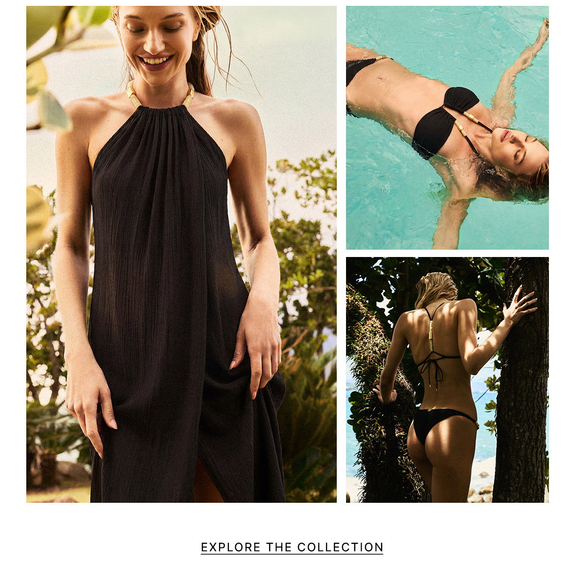 Explore the Collection