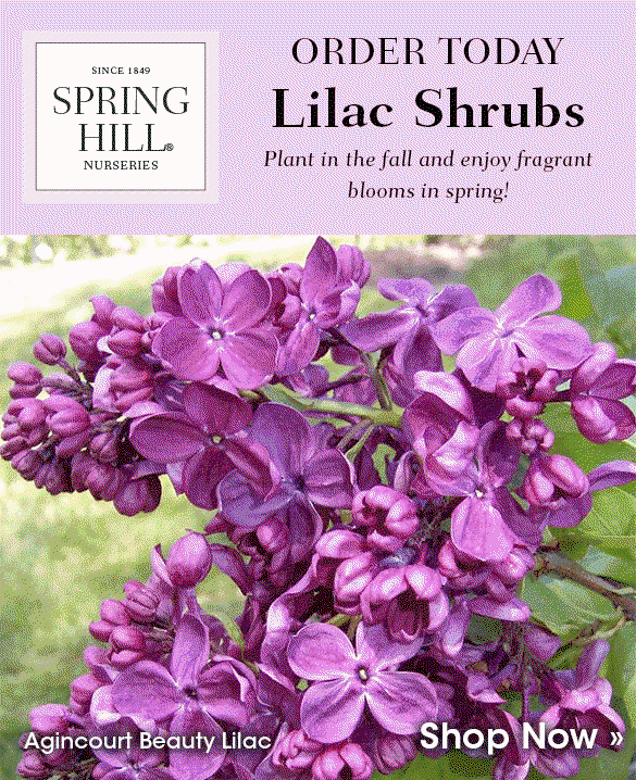 award-winning varieties