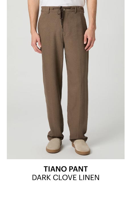Tiano Pant in Dark Clove Linen