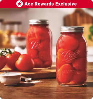 Ace Rewards Exclusive