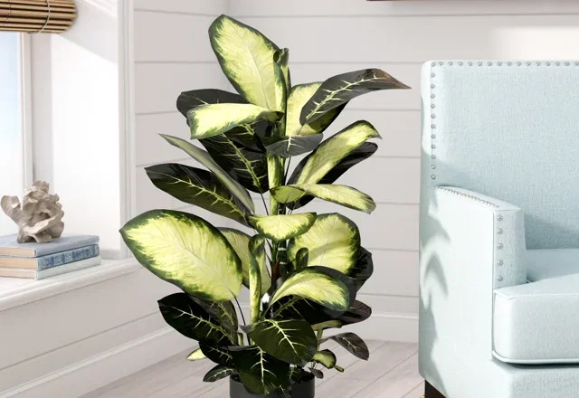 Offers on Faux Plants