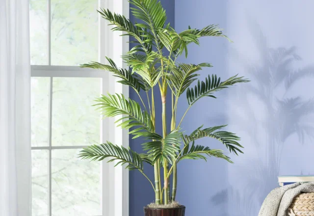Faux Plants: Best Picks