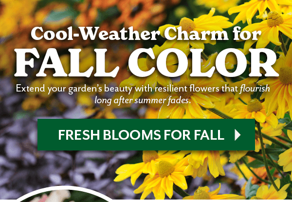 Cool-Weather Charm for FALL COLOR