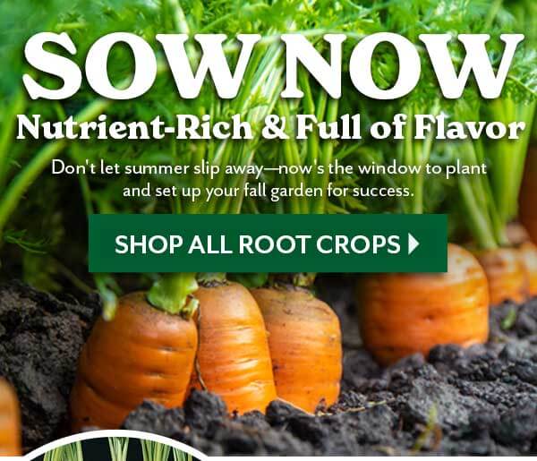 Nutrient-Rich & Full of Flavor
