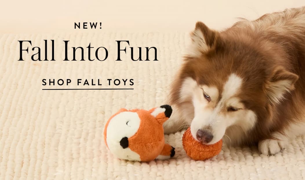 Shop Toys
