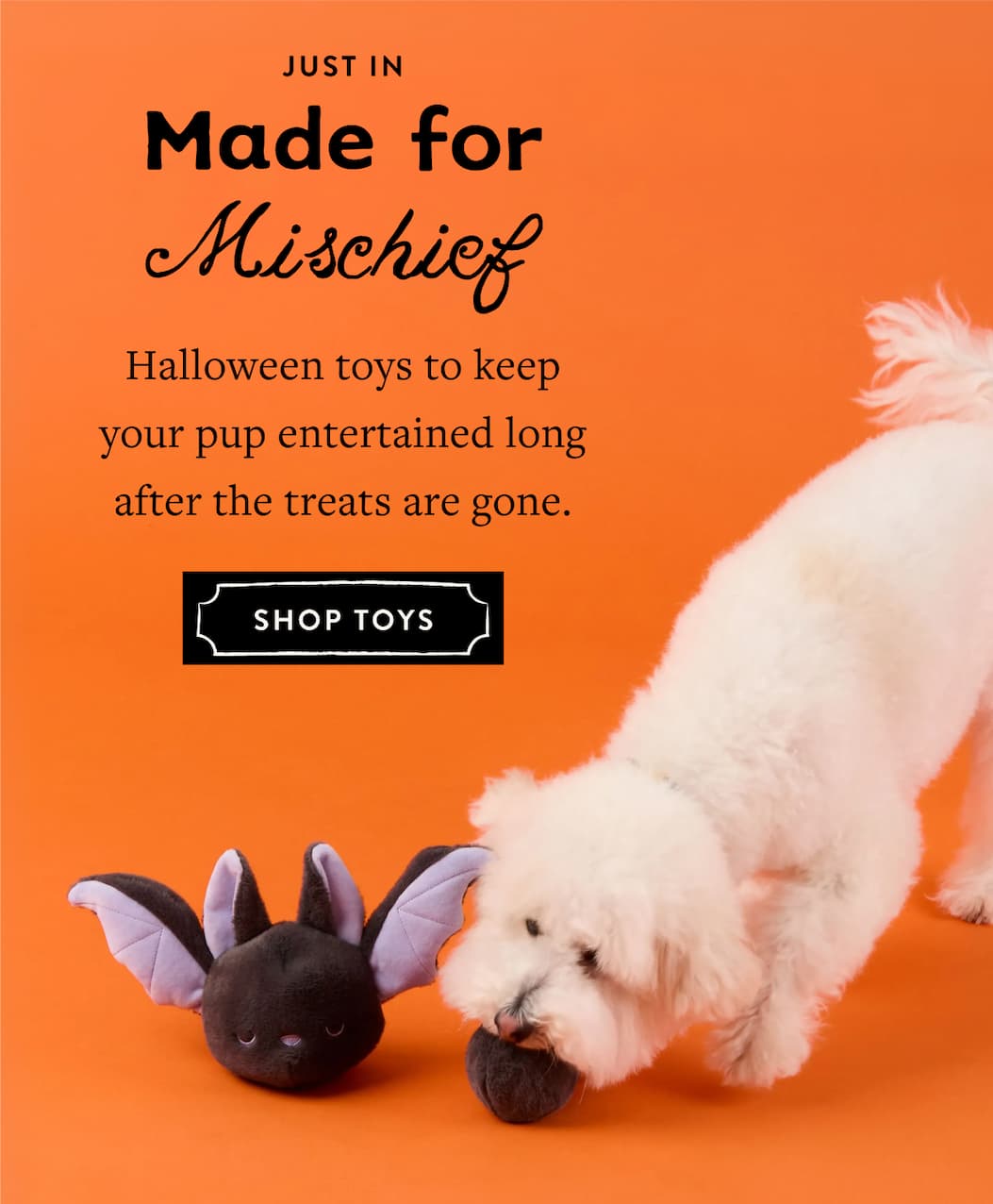 Shop Toys