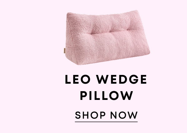 Leo Wedge PIllow